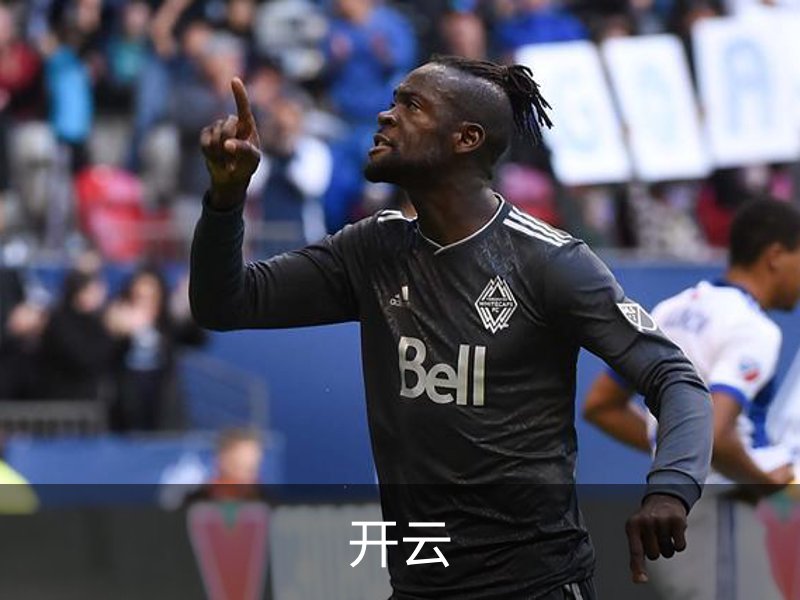 开云简介